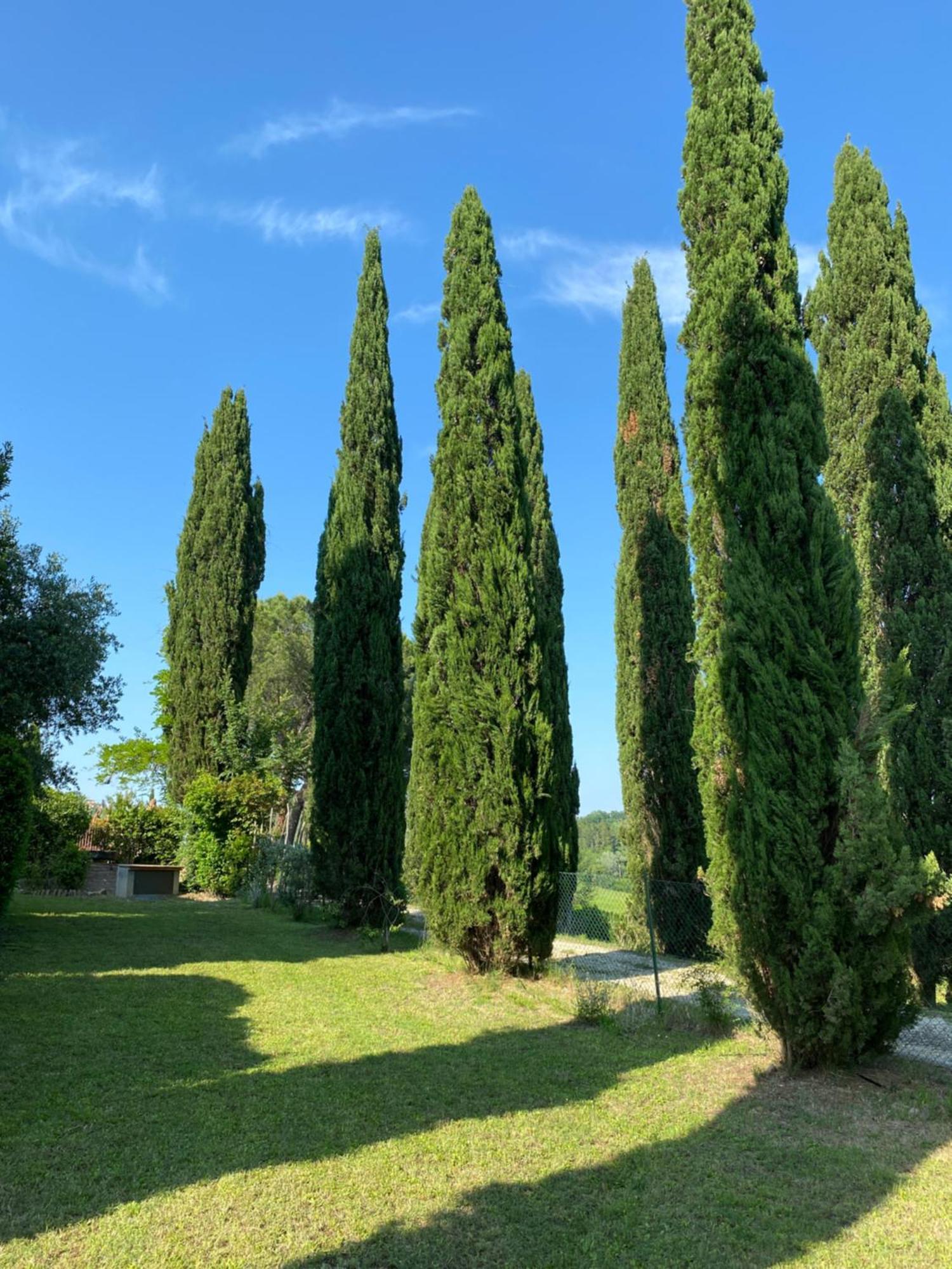 Villa Tre Colli - In The Heart Of Tuscany Certaldo Kültér fotó