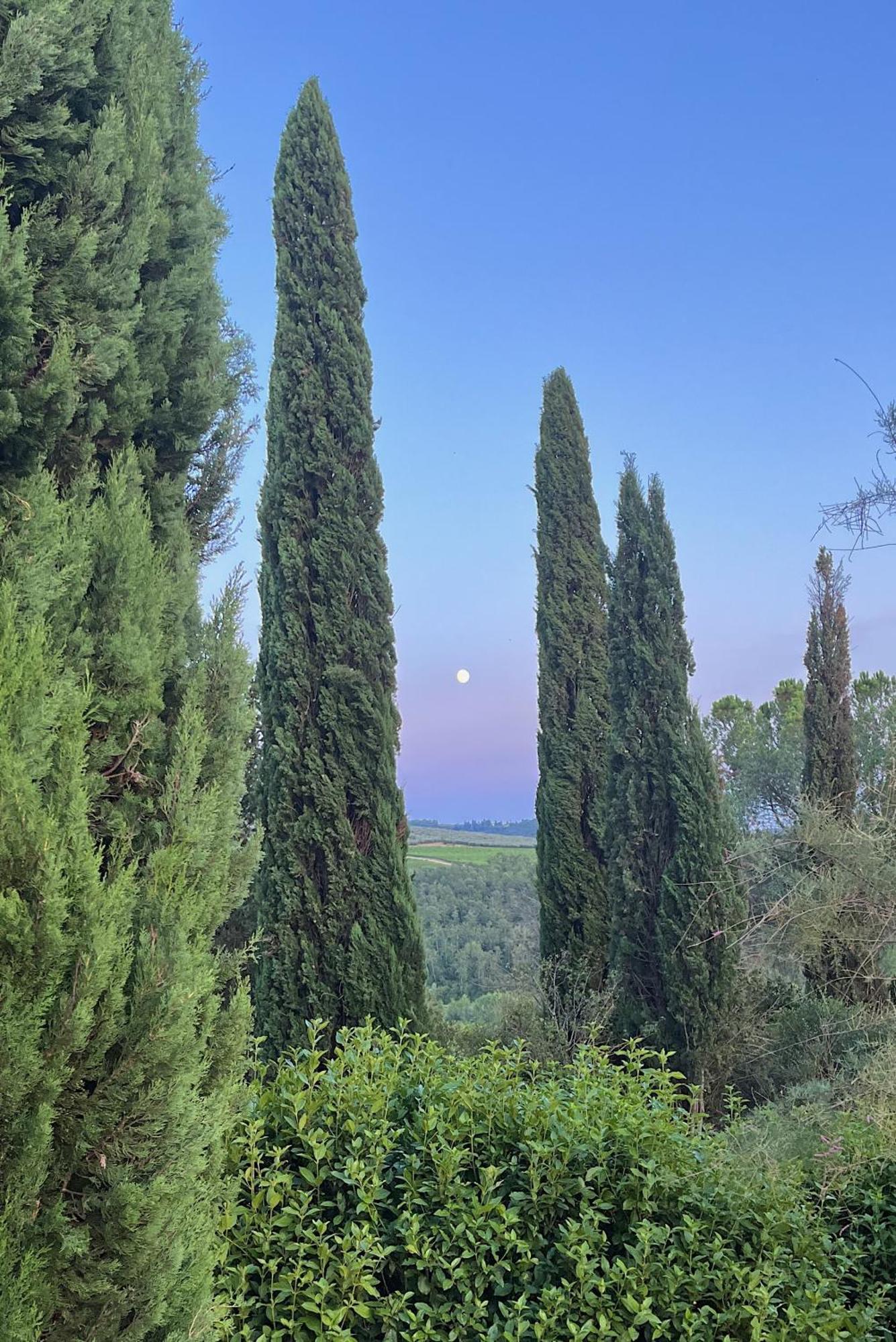 Villa Tre Colli - In The Heart Of Tuscany Certaldo Kültér fotó